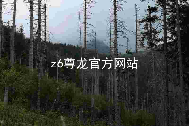 z6尊龙官方网站