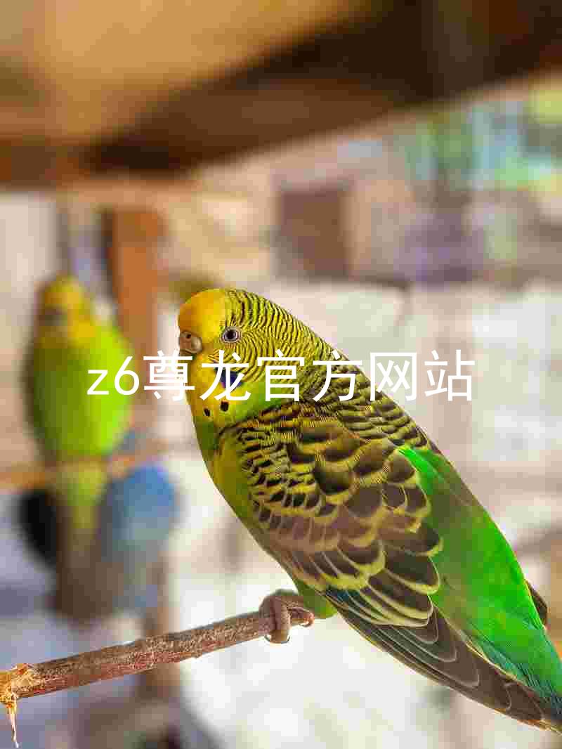 z6尊龙官方网站