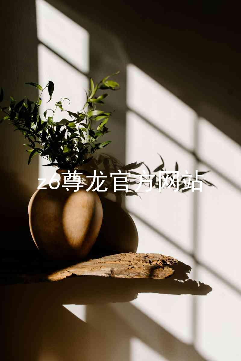 z6尊龙官方网站